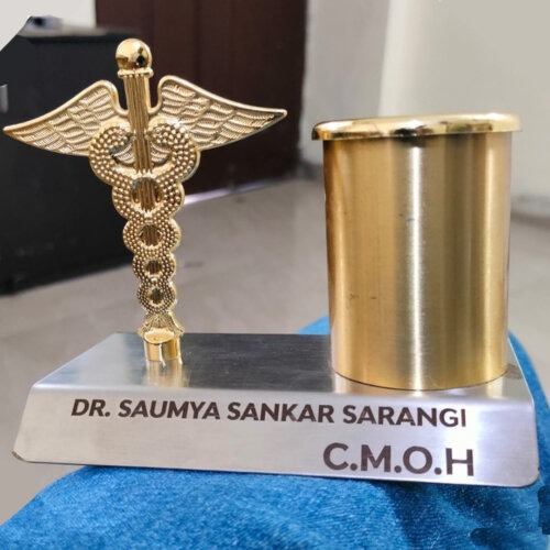 Personalized Golden Pen Stand for Doctors| Name with Dr Symbol photo review