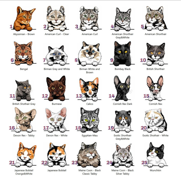 Alternative view of Personalized Pet Unisex T-Shirt With Pet Name | Customized Cat Name T-Shirt