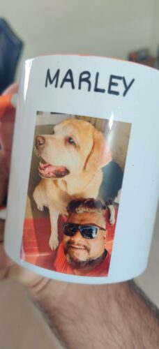 Custom Pet Mug With Your Pet's Photo and Name| Custom Cat and Dog Pet Mug photo review