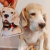 Pet Keychain 6